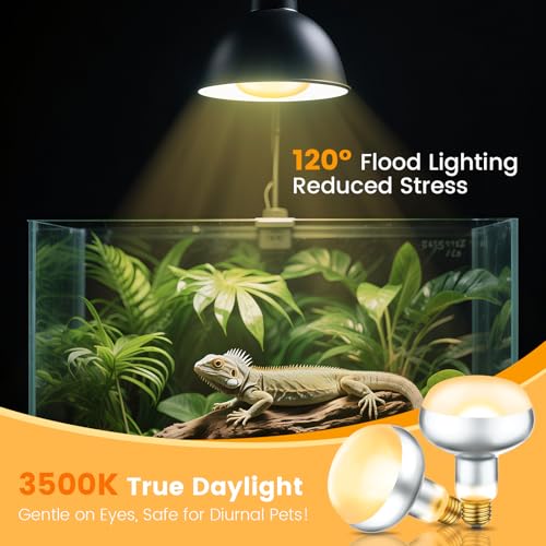 Dual Reptile Light Fixture with 100W Daytime Heat Bulb & 100W Nighttime Ceramic Heat Emitter (ST1)