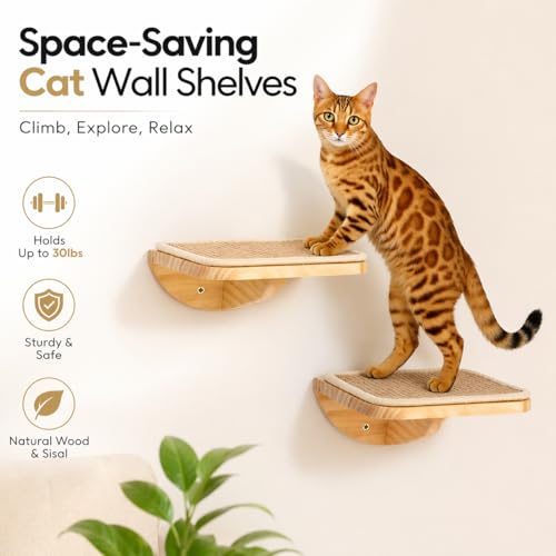 Cat Window Perches (Combo A (1 Foam-Mat Bed, 2 Steps) / Normal)