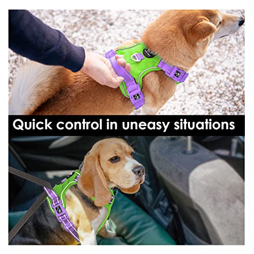 No Pull Dog Harness (Green Base & Purple Straps / Large)