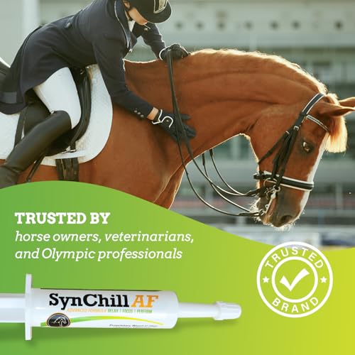 SynChill AF Horse Calming Supplement Gel (1-Pack)