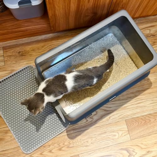 Stainless Steel Litter Box with Lid (14"H Grey)