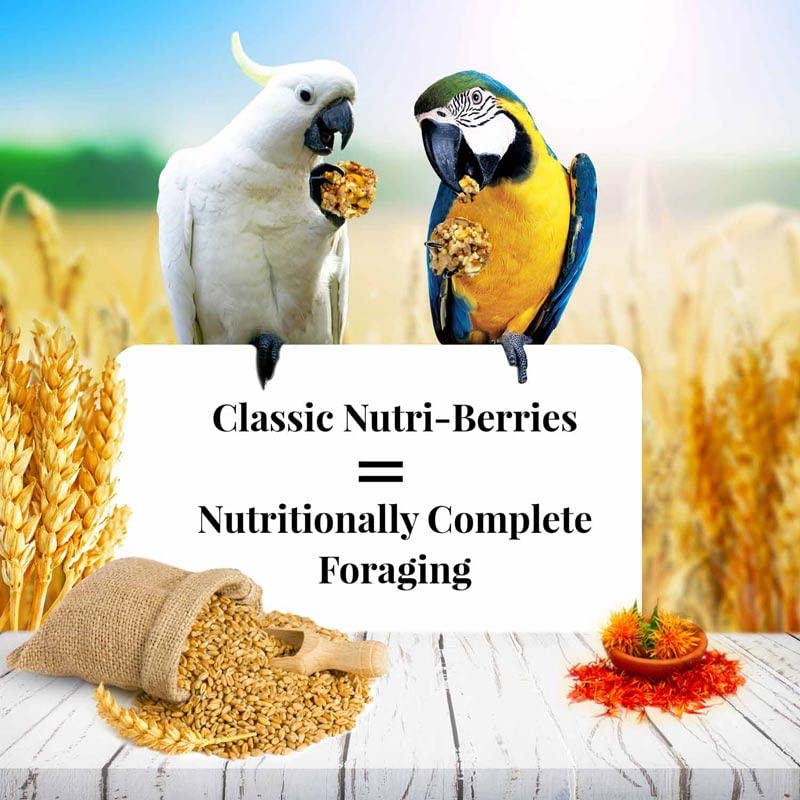 Classic Nutri (10 Ounce (Pack of 2))