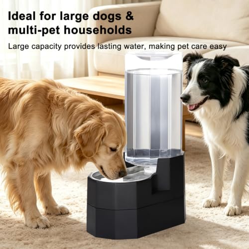 9L Elevated Dog Water Dispenser (Black / 9L Raised)