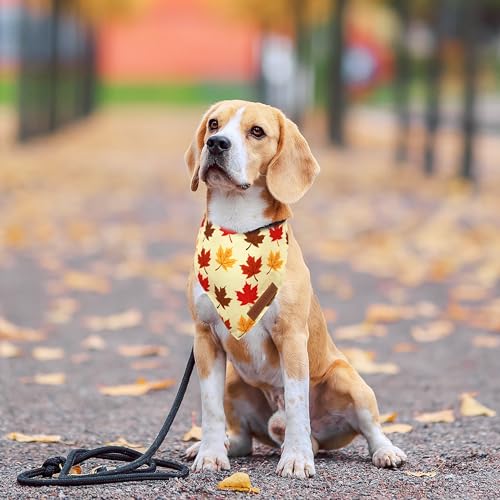 Fall Dog Bandanas 2 Pack (Autumn / Small)