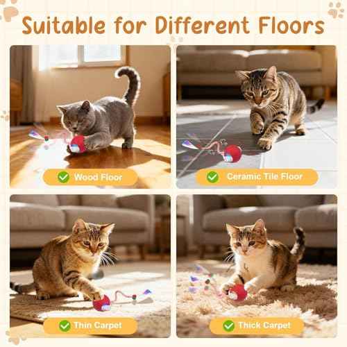 2PCS Interactive Cat Toys for Indoor Cats with 6 Tails (2pc R+B)