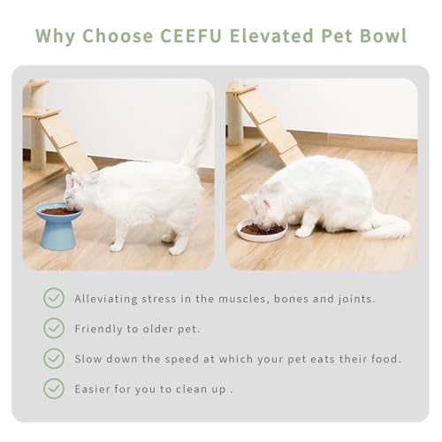 2 Pack Extra Wide Elevated Ceramic 6.2" Shallow Cat Food Bowls (Baby Blue-2 Food Bowl)