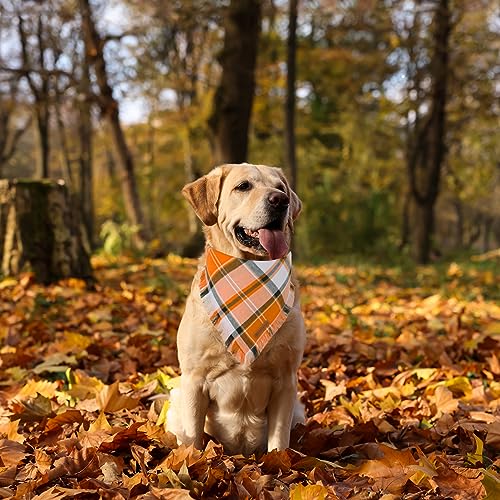 Fall Dog Bandana (X-Large / Fall)