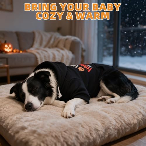 Halloween Dog Hoodie for Large Medium Dogs (Halloween Black / Medium)