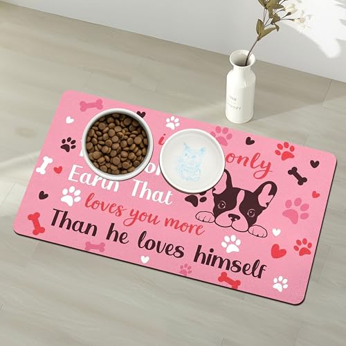 Pet Feeding Mat for Floors Waterproof Dog Mat for Food and Water Absorbent Quick Dry Non Slip mat for Cat Bowls (30"L x 17"W / Pink)