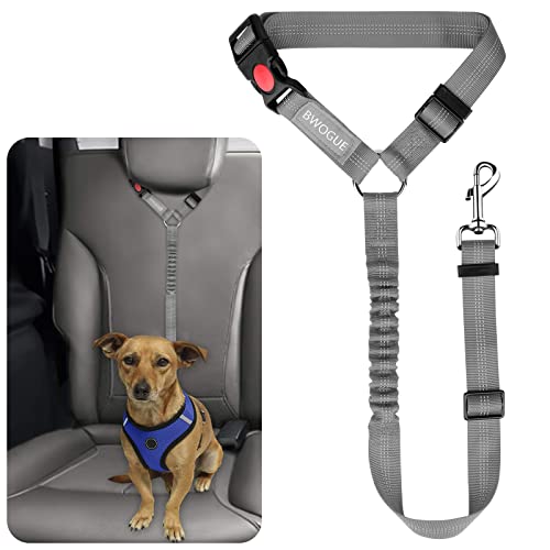 Dog Seat Belt for Car (Grey)