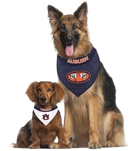 Collegiate Pet Accessories (Large/X-Large / Auburn Tigers)