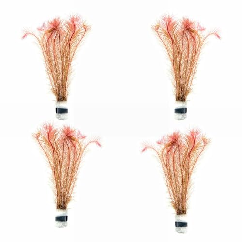 Live Aquarium Red Stem Plants (Lead Bunch - 4 Pack / Rotala Wallichii)