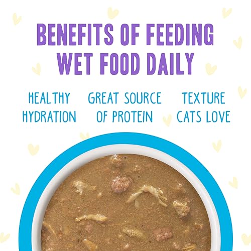 B.F.F. OMG Best Feline Friend Oh My Gravy! (5.5 Ounce (Pack of 8))