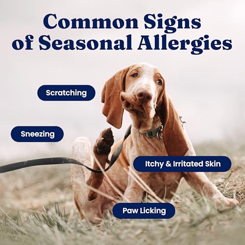 Dog Allergy Chews for Itchy Skin & Immune Support (60 Count)