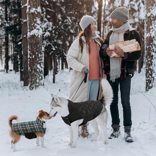Waterproof Dog Coat (Green / Medium (Pack of 1))