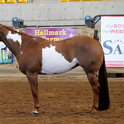 Horse Tail Extensions with Braided Horsehair Loop (1/2 LB (34"-36") / Dark Sorrel)