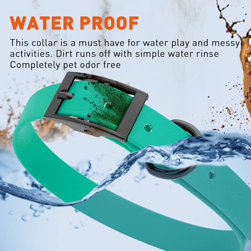 Biothane Waterproof Dog Collar Strong Coated Nylon Webbing with Black Hardware Odor (W3/4" x L15-18" / Teal)