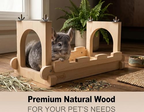 Chinchilla Wood Suspension Bridge