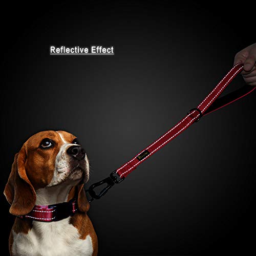 Short Training Dog Leash with Padded Handle for Medium Large Big Dogs (Red / 18 Inch (Pack of 1))