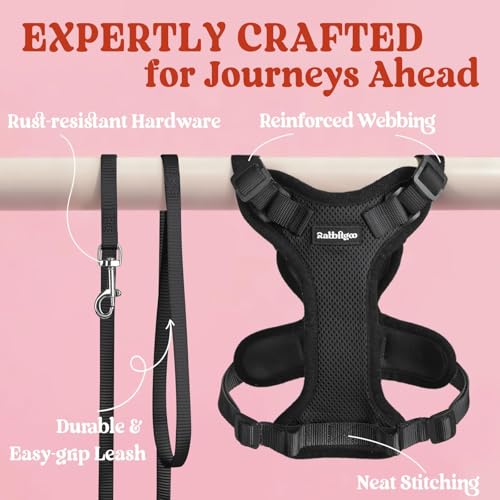 Cat Harness and Leash Set (Xs / Black)