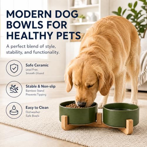Ceramic Dog Cat Bowl Set with Stand (Rust Green / 850ML*2)