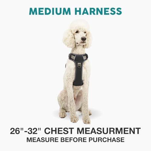 Embark No Pull Dog Harness (M / Black)