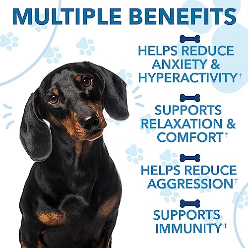 Hemp Calming Chews for Dogs (120 chews)