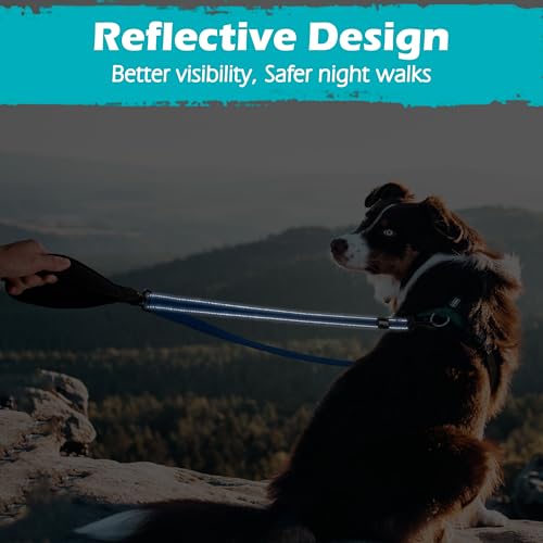 Two Point Control Dog Leash (Blue)