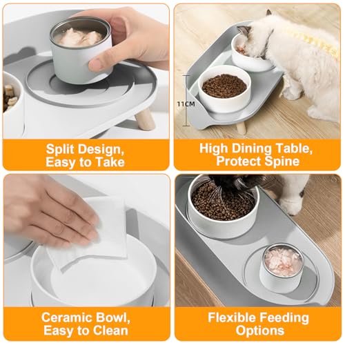 Elevated Dog Bowls Set (Gray)