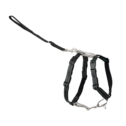 3 in 1 No Pull Dog Harness