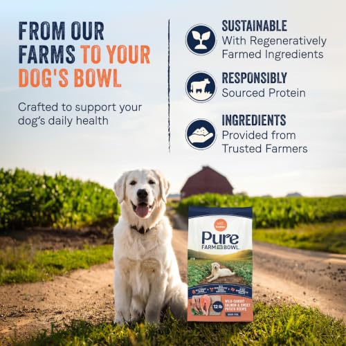 Pure Farm to Bowl (12 Pound (Pack of 1))