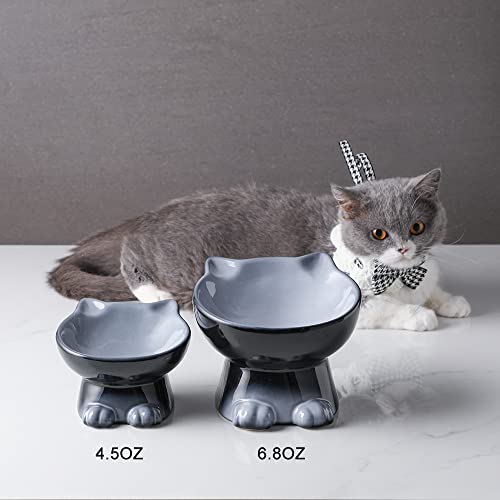 Elevated Cat Bowls (6.8 OZ / Gray)