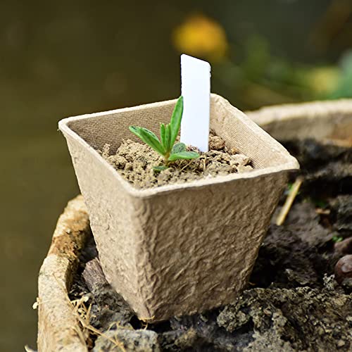 Seed Starter Peat Pots (Square)