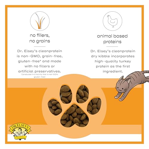 cleanprotein Protein Bites Turkey 12 oz (12 Ounce (Pack of 1))
