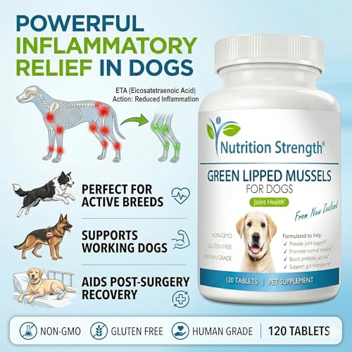 Green Lipped Mussels for Dogs
