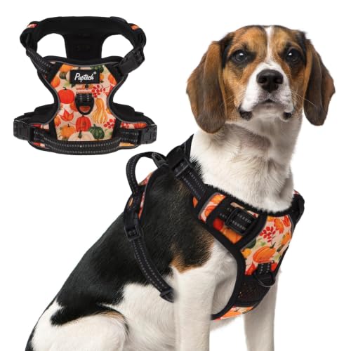 No Pull Fall Dog Harness Medium Sized (Yellow(Pumpkin) / Medium)