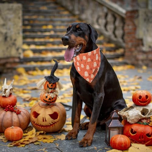 Halloween Dog Bandana (X-Large / Yellow&Orange)