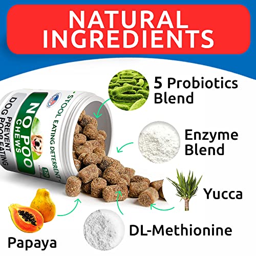 NO Poo Treats (240Ct (Chicken))