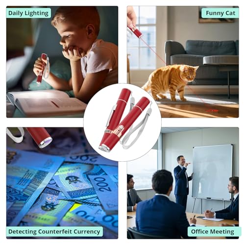 Cat Toys with Metal Case (Red)