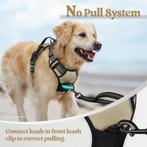Dog Harness No Pull for Small Dogs with 2 Leash Clips (Small / Beige)
