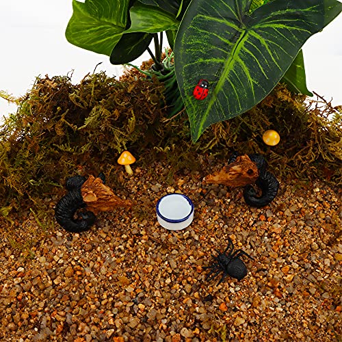 6 Pcs Spider Micro Water Bowl Mini Ceramic Dish for Spider Tarantula Millipede Tiny Reptile
