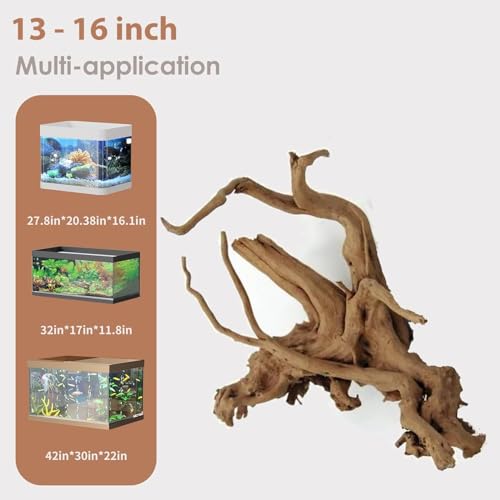 Natural Large Spiderwood Driftwood for Aquarium Decor Rptile Fish Tank Decoration Assort Branch 13 (Spiderwood 13 to 16 Inch (Pack of 1))