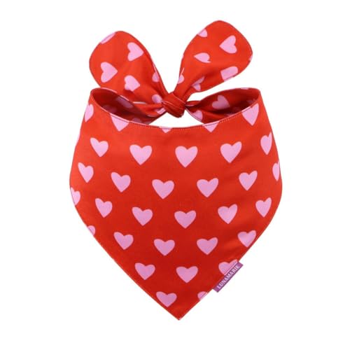 Luxury Pet Birthday Bandanas (Evie Hearts / Medium)
