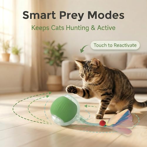 Interactive Cat Toy for Indoor Cats (Green)
