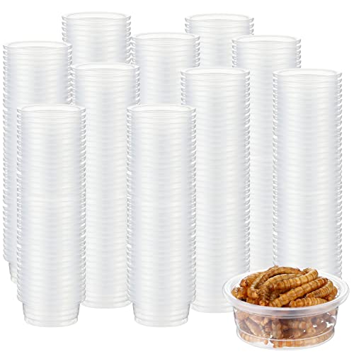 500 Pcs Reptile Food Cups Plastic Feeder Bowls for Gecko (0.5oz)