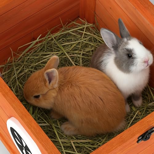 Rabbit Hutch Indoor Outdoor (Orange)