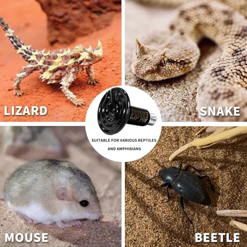 75W Reptile Heat Lamp (75W)
