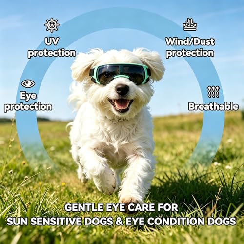 Dog Goggles for Small Dog Doggy Goggles with Adjustable Straps Anti (Blue / Small)