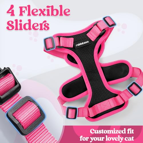 Cat Harness and Leash Set (Black & Rose Pink / Xs)