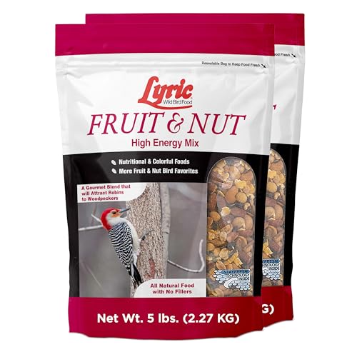 Fruit and Nut Wild Bird Seed Mix (1 Count (Pack of 2))